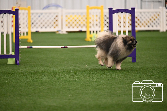 LMP_0059