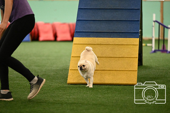 LMP_1785