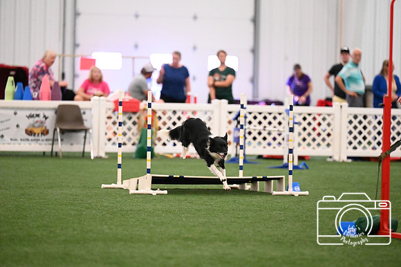 LMP_3178