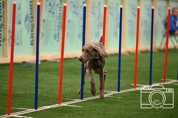 LMP_0556