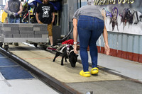 DSC_1530