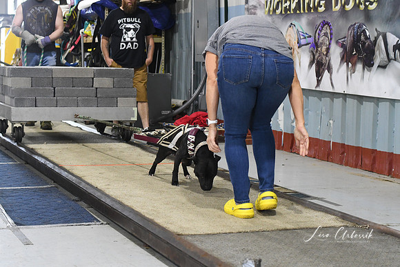 DSC_1530
