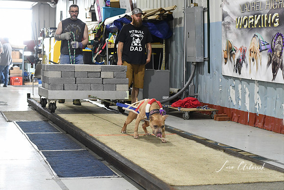 DSC_1549