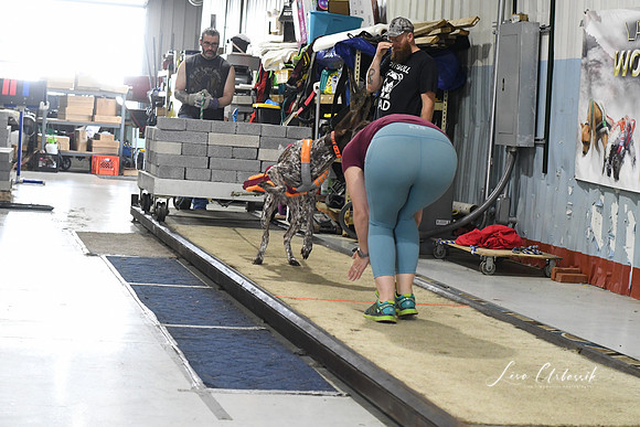 DSC_2057