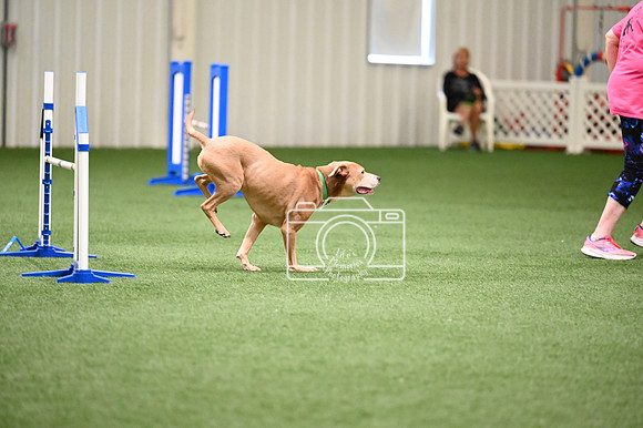 LMP_1297