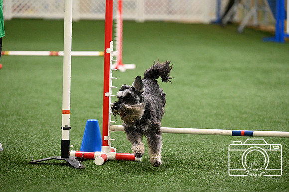LMP_2628