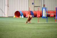 LMP_0578
