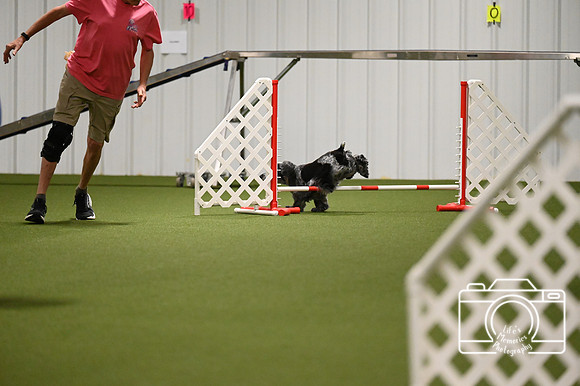 LMP_6556