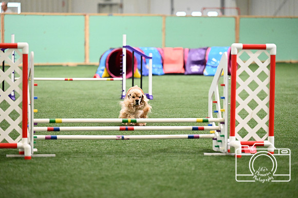 LMP_1238