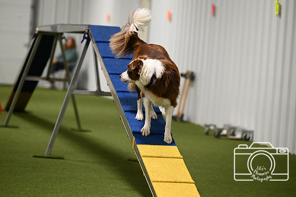 LMP_0873