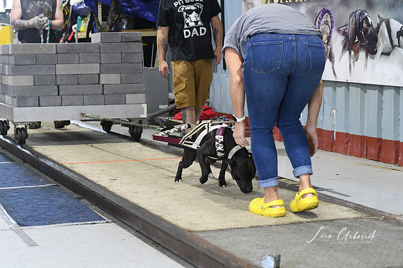 DSC_2763