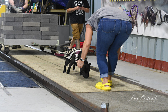 DSC_2297