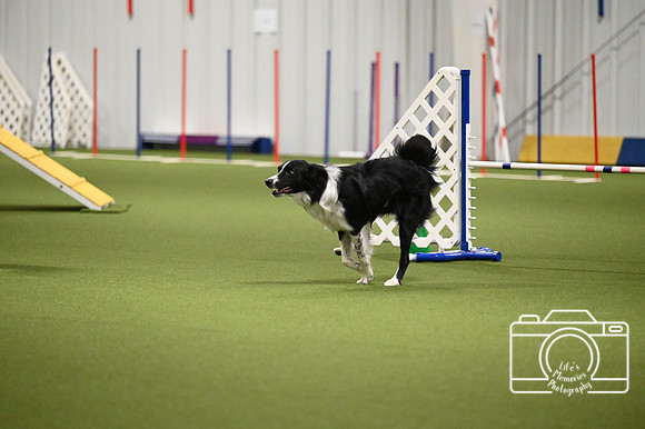 LMP_2790