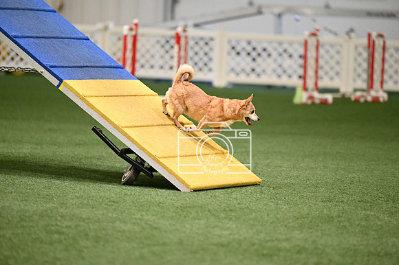 LMP_7106