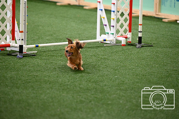 LMP_4942