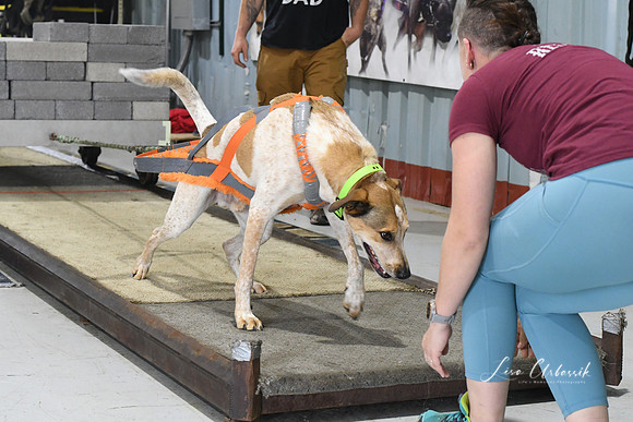 DSC_1779