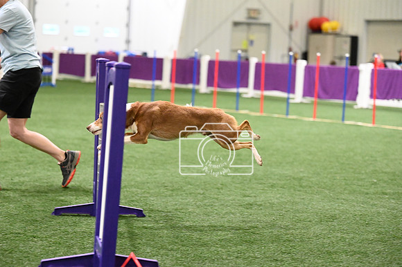 LMP_0055