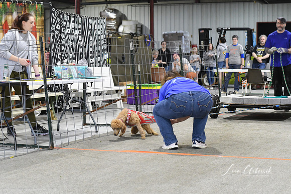 DSC_5278