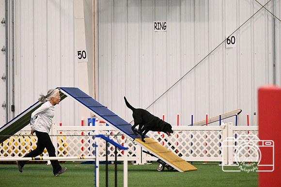 LMP_6686