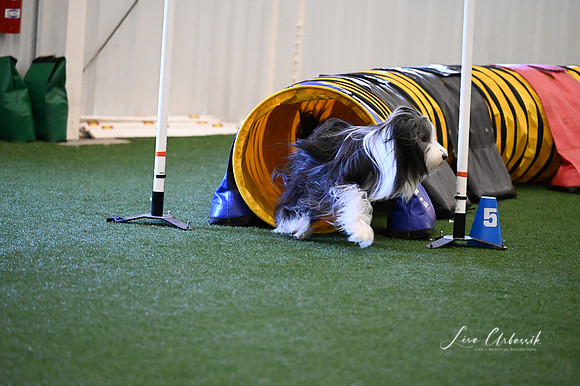 LMP_2184