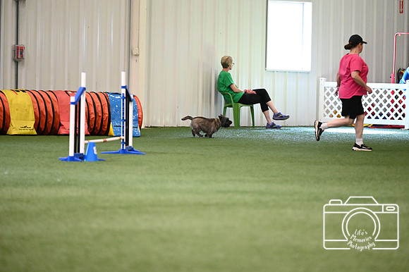 LMP_3353