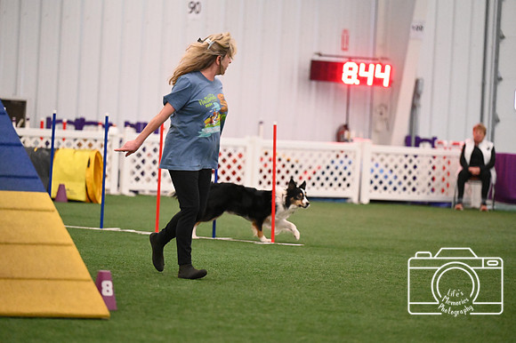 LMP_7520