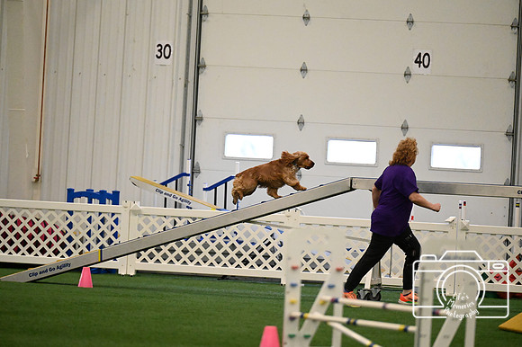 LMP_9732