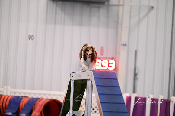 LMP_2959
