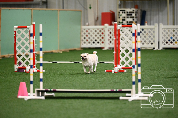 LMP_2137
