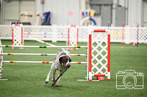 LMP_8837