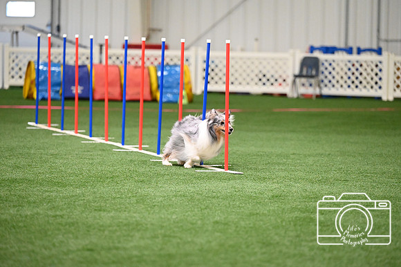 LMP_0389