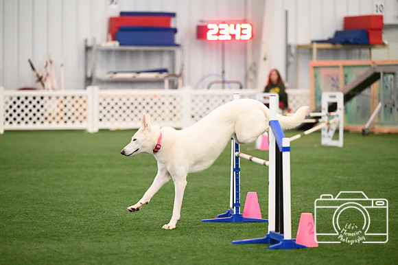 LMP_4883