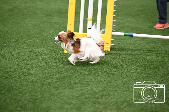 LMP_4769