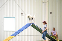 LMP_6766
