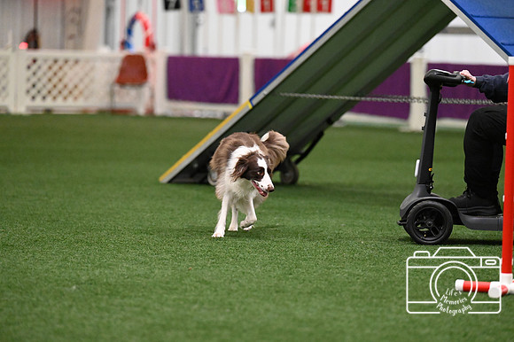 LMP_8079