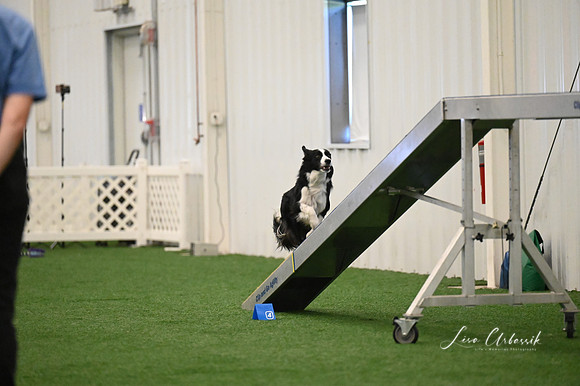 LMP_2785
