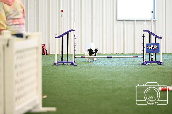 LMP_0620