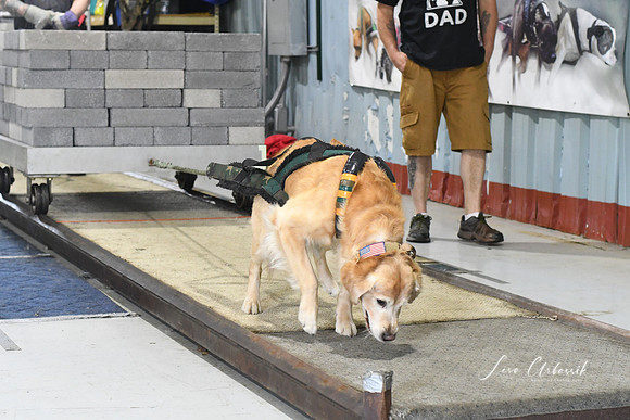 DSC_2760