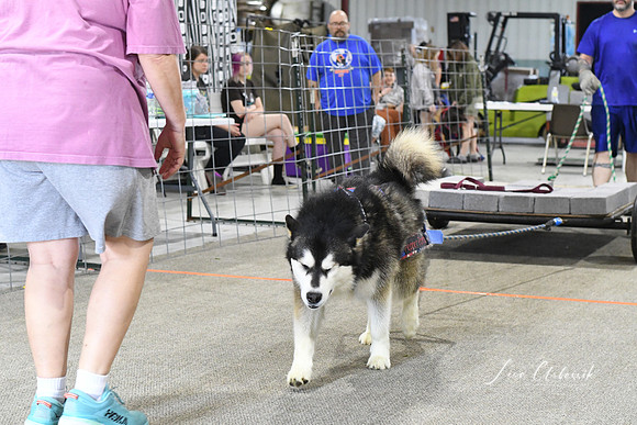 DSC_5560