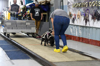 DSC_1528