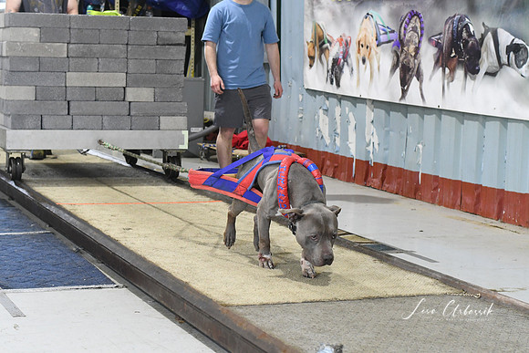 DSC_3161