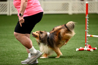 LMP_6036