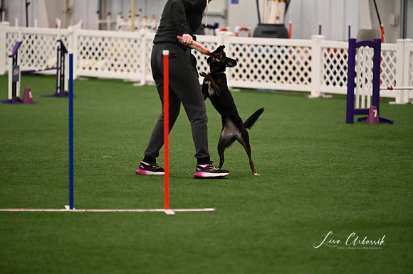 LMP_6586