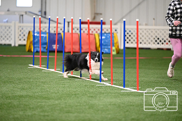 LMP_0348