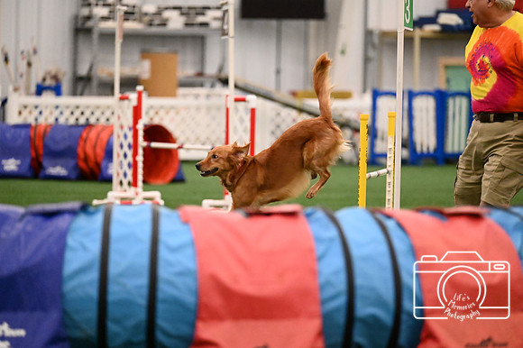 LMP_0525