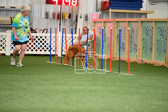 LMP_0718