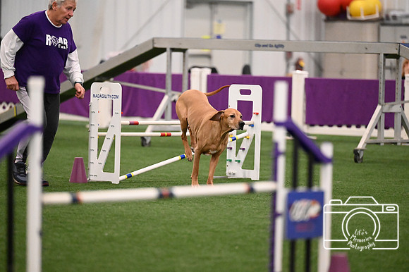 LMP_7459