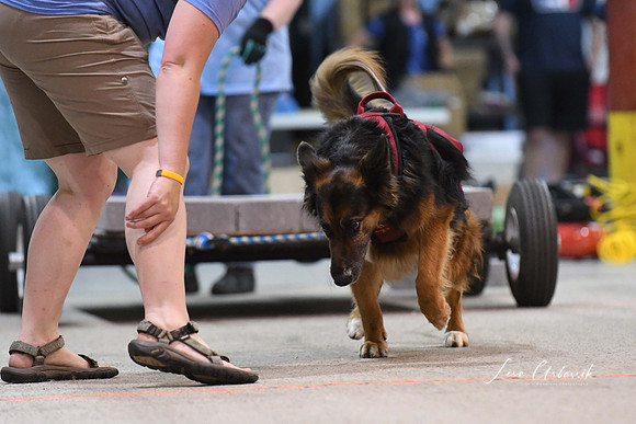 DigitalDSC_8145