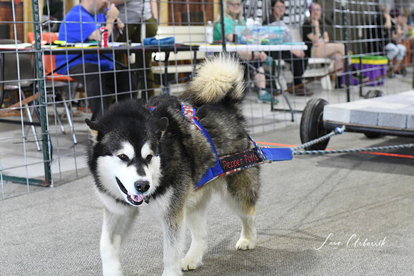 DSC_6192