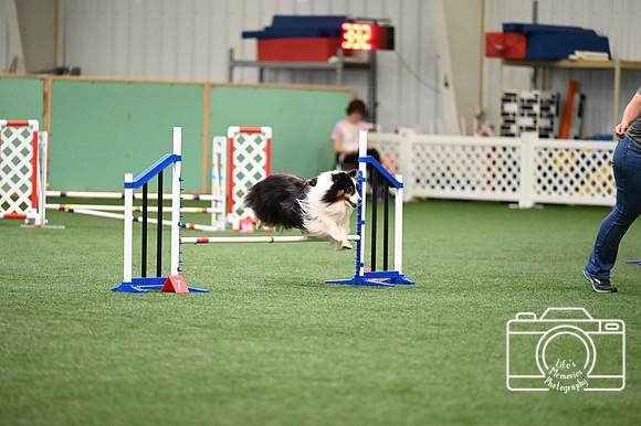 LMP_1223